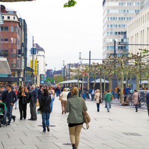 Die Zeil