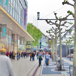 Die Zeil
